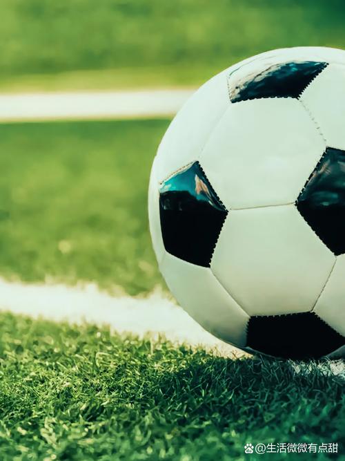 体育场馆管理者使用球探篮球比分win监控赛事